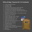 Adventure Medical MOLLE Bag Trauma Kit 1.0 - AD20640300 