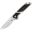 BG013 Begg Diamici Linerlock Pocket Knife Black G10 