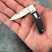 BG043 Begg Drop Point Miniature Slip Joint Pocket Knife 