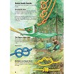 BK466 Books My First Book of Knots 