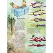BK466 Books My First Book of Knots 