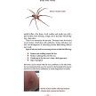 BK474 Preppers Medical Manual 