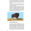 BK475 Survival Skills Book 