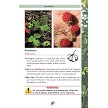 BK480 Pocket Guide to Edible Plants 