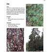 BK482 The Art of Bushcraft 