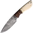 BucknBear Hunter DP Knife - BNB134652 