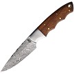 BucknBear Damascus Fixed Blade Knife - BNB15248 