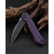 BTKG59G Bestech Ivy Linerlock Pocket Knife Purple 