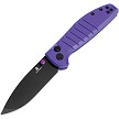 Bestech Bestechman Goodboy Jr. Button Lock Pocket Knife - BTKMK10G 