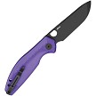 BTKMK12E2 Bestech Bestechman Angry Owl Button Lock Pocket Knife 