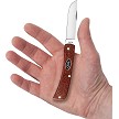 CA12273 Case Cutlery Sod Buster Jr Pocket Knife Red Micarta 
