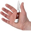 CA28912 Case Cutlery Lockback Pocket Knife Chestnut 