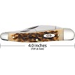 CA30094 Case Cutlery Seahorse Whittler Pocket Knife Amber Bone 