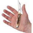 CA30094 Case Cutlery Seahorse Whittler Pocket Knife Amber Bone 