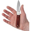 CA42229 Case Cutlery Highbanks Slip Joint Pocket Knife Rosewood 