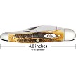 CA65347 Case Cutlery Seahorse Whittler Pocket Knife 6.5 Bonestag 