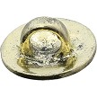 CT2002GD Coeburn Tool Spartan Shield Gold 