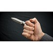 DRK12150 Dragon King Sword Cane Carbon Fiber 