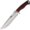 Dawson Seraphim CP Fixed Blade Knife Red - DW49123 