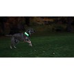 N05462 Nite Ize Nitedog LED Collar Cover 