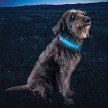 N05462 Nite Ize Nitedog LED Collar Cover 