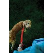 N05463 Nite Ize Nitedog Rechargeable Leash 