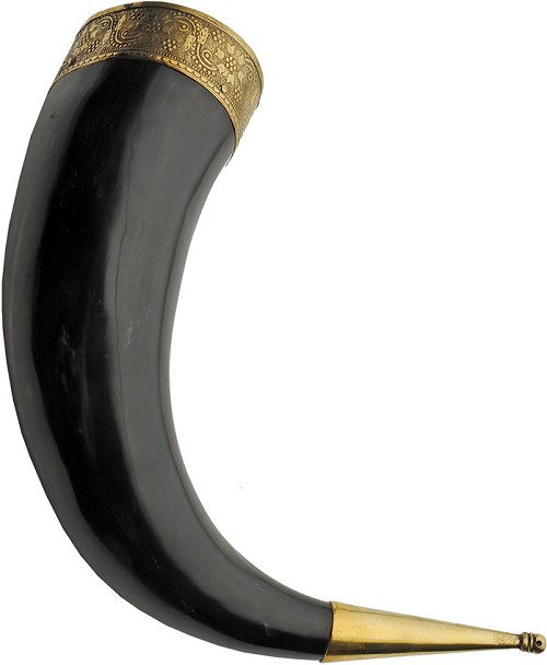Fancy Viking Horn - PA230992 