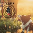 PRO101BL TICKLESS Ultrasonic Repeller 