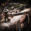 SHF11014 Reapr Versa Camp Axe 
