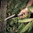 SHF11018 Reapr Versa Camp Knife 