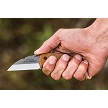 TPLILB01 TOPS Knives Little Bugger Knife 