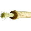 WJ92S Wood Jewel Mushroom Knife 