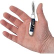 Case Cutlery Ocean Blue Bone Gator Jig Barlow Pocket Knife - CA53982 