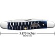 CA53985 Case Cutlery Ocean Blue Bone Gator Jig Muskrat Pocket Knife 